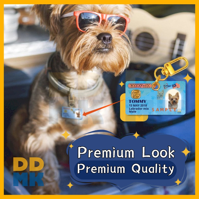 [Promotion Gila] NEW DDMK Stainless Steel Pet ID Card