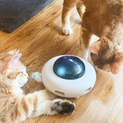 DDMK™ CatUFO™️ Interactive Toy