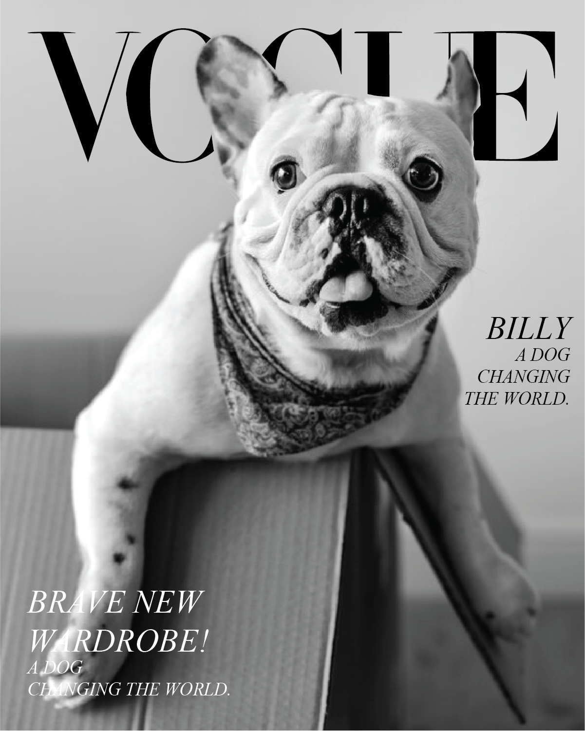 Personalized Magazine Cover Pet Portrait