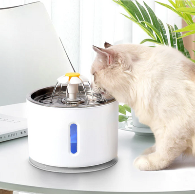 DDMK™ Automatic Cat and Dog Water Fountain™️