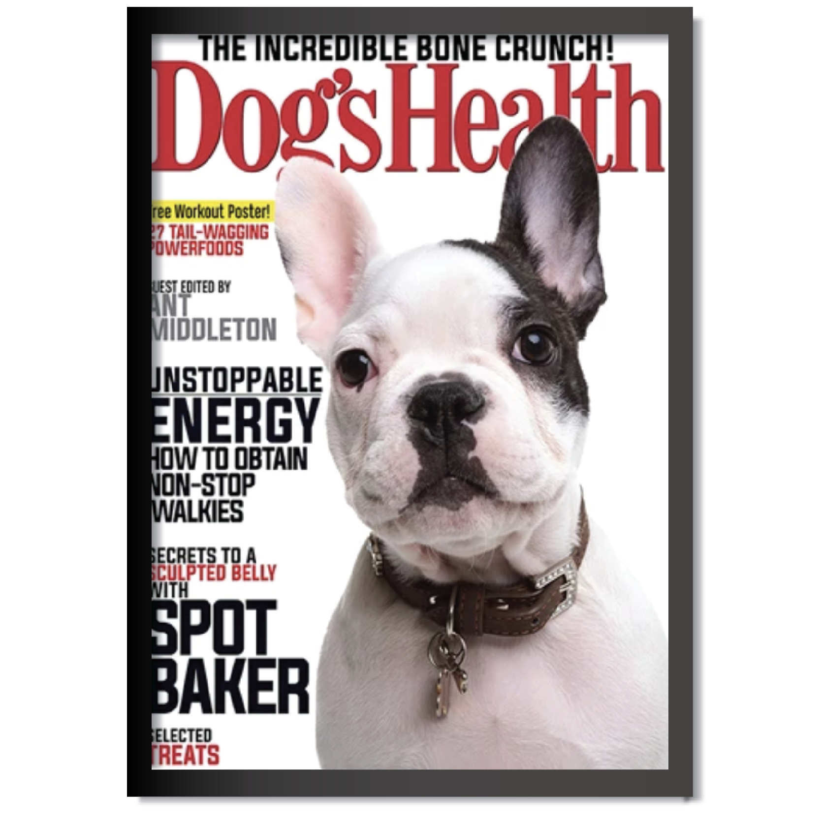 DDMK Personalized Magazine Cover Pet Portrait M005