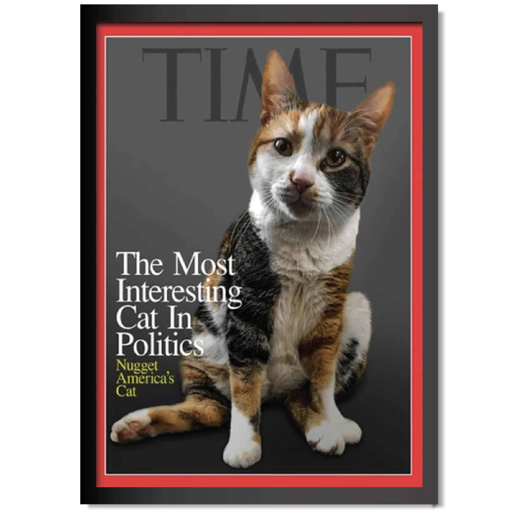 DDMK Personalized Magazine Cover Pet Portrait M004