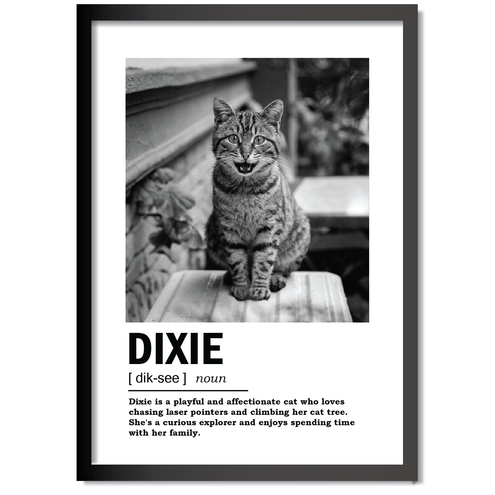 DDMK Minimalist Style Pet Portrait MN001