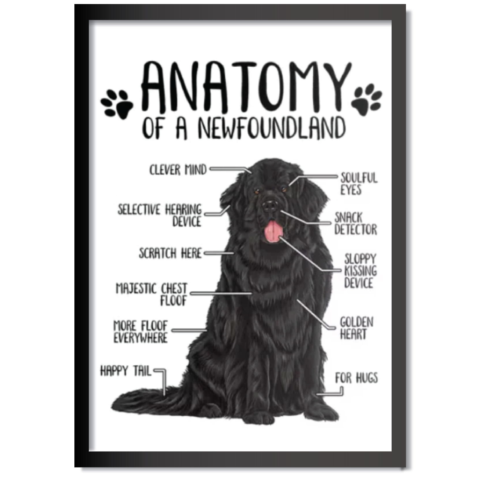 DDMK Anatomy Style Pet Portrait A025