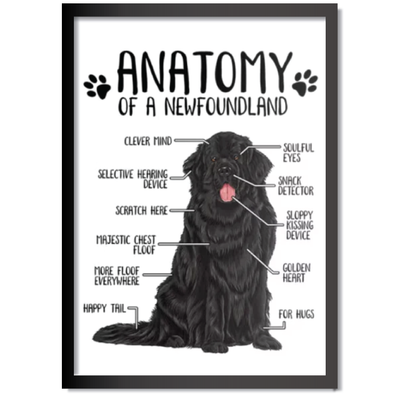 DDMK Anatomy Style Pet Portrait A022