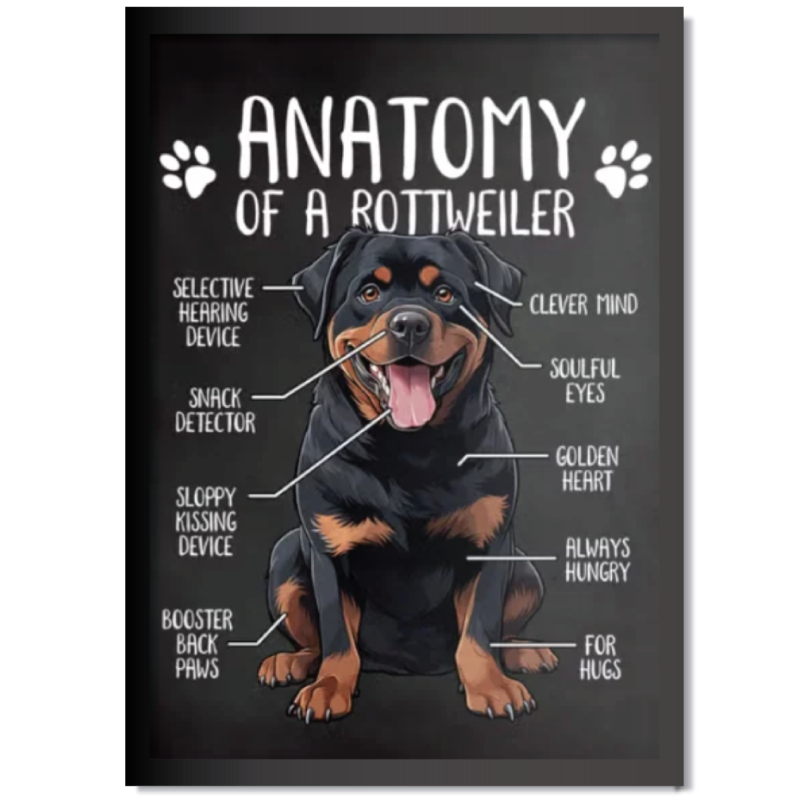 DDMK Anatomy Style Pet Portrait A014