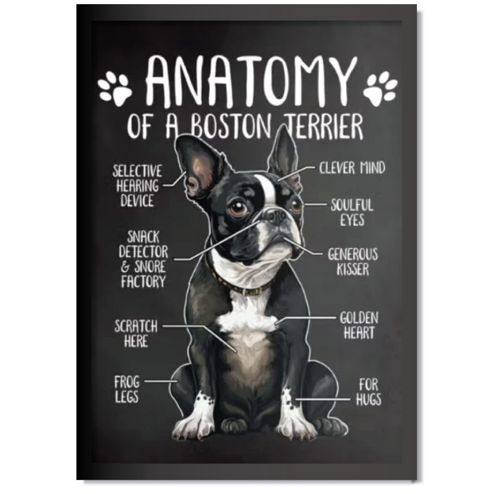 DDMK Anatomy Style Pet Portrait A007