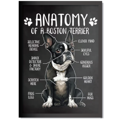 DDMK Anatomy Style Pet Portrait A014