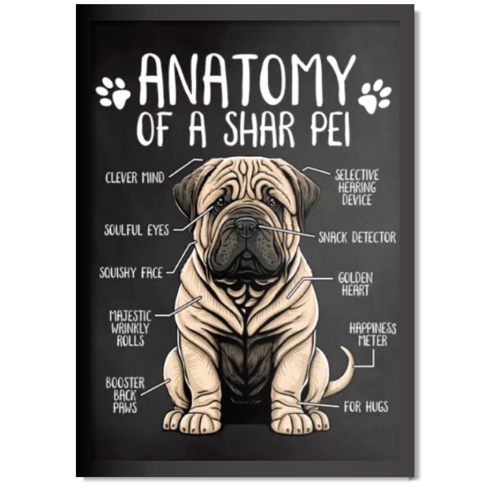 DDMK Anatomy Style Pet Portrait A010