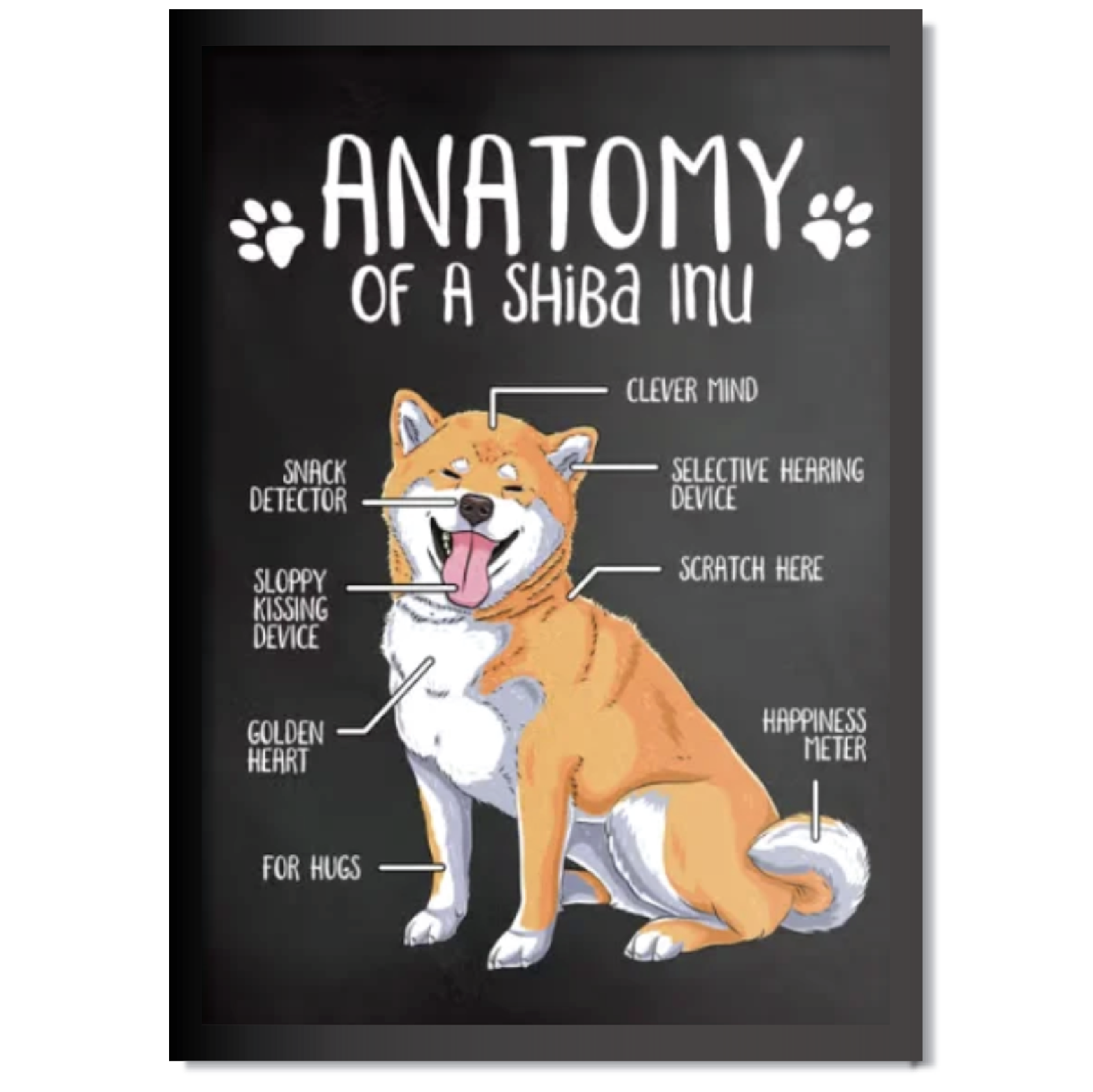 DDMK Anatomy Style Pet Portrait A017