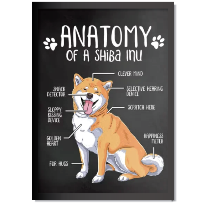 DDMK Anatomy Style Pet Portrait A020