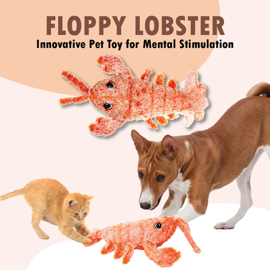 DDMK™ Floppy Lobster™ interactive pet toy