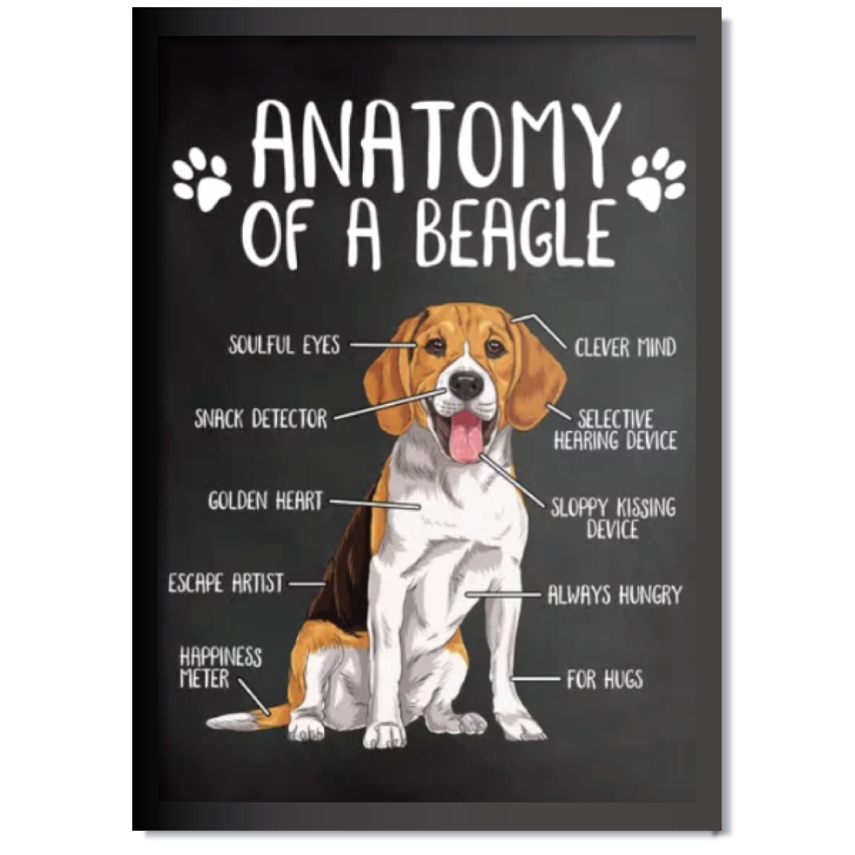 DDMK Anatomy Style Pet Portrait A013