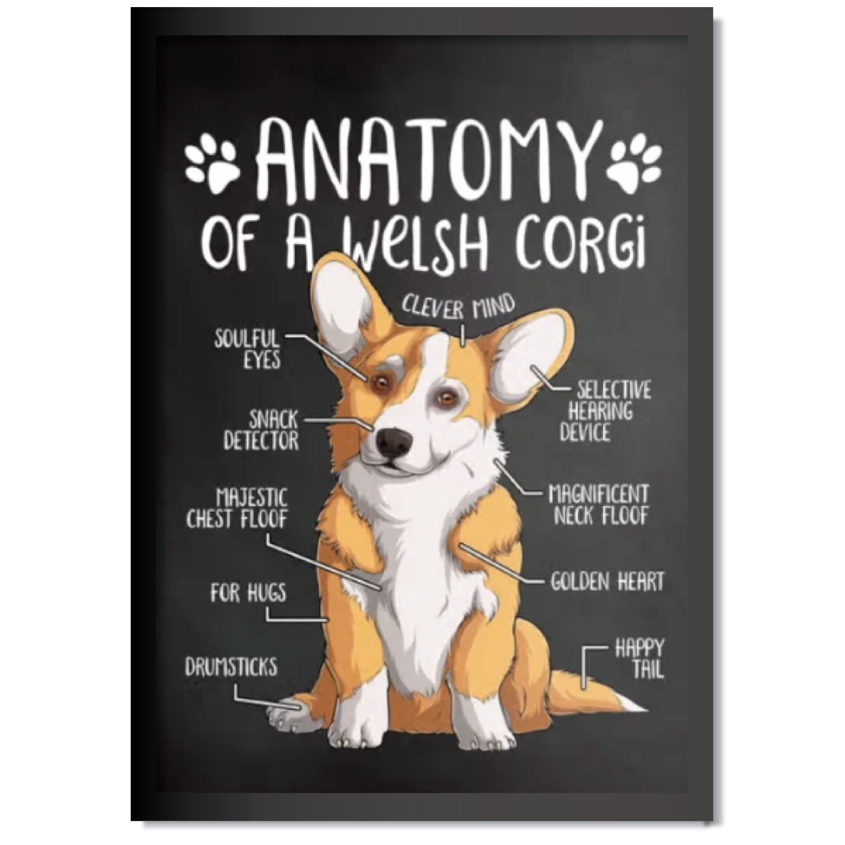 DDMK Anatomy Style Pet Portrait A019