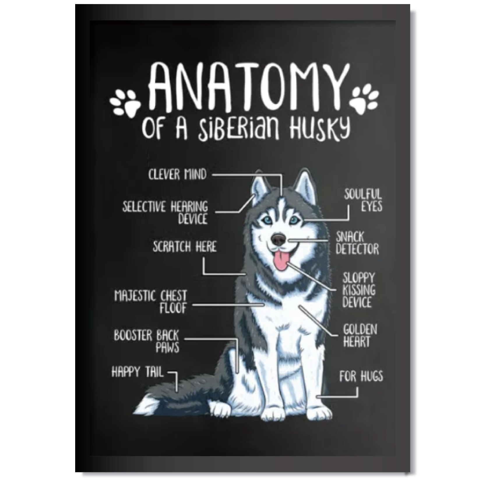 DDMK Anatomy Style Pet Portrait A021