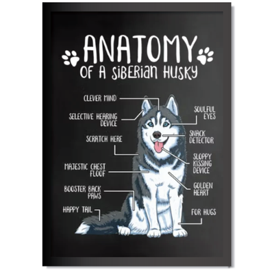 DDMK Anatomy Style Pet Portrait A017