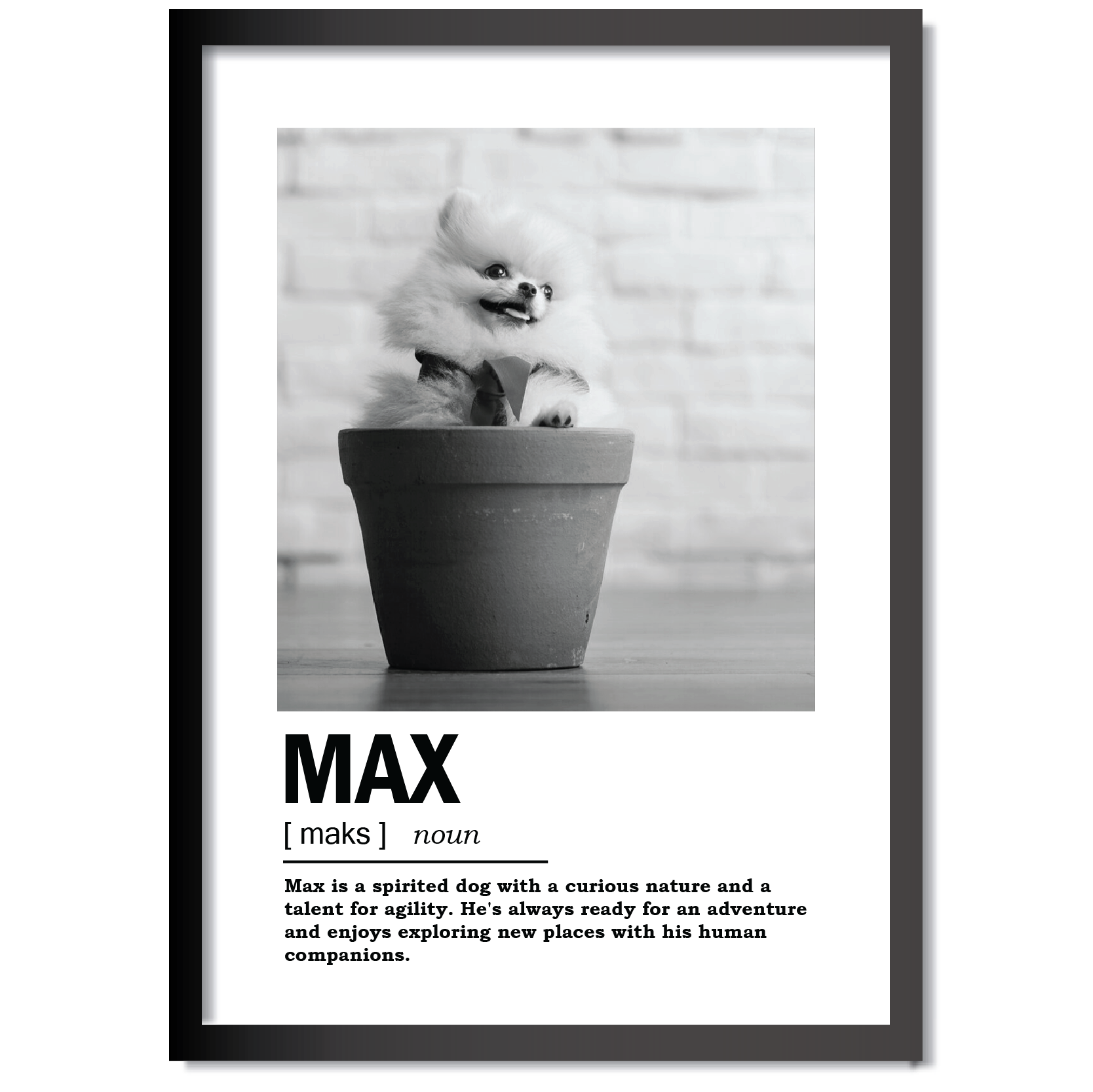 DDMK Minimalist Style Pet Portrait MN008