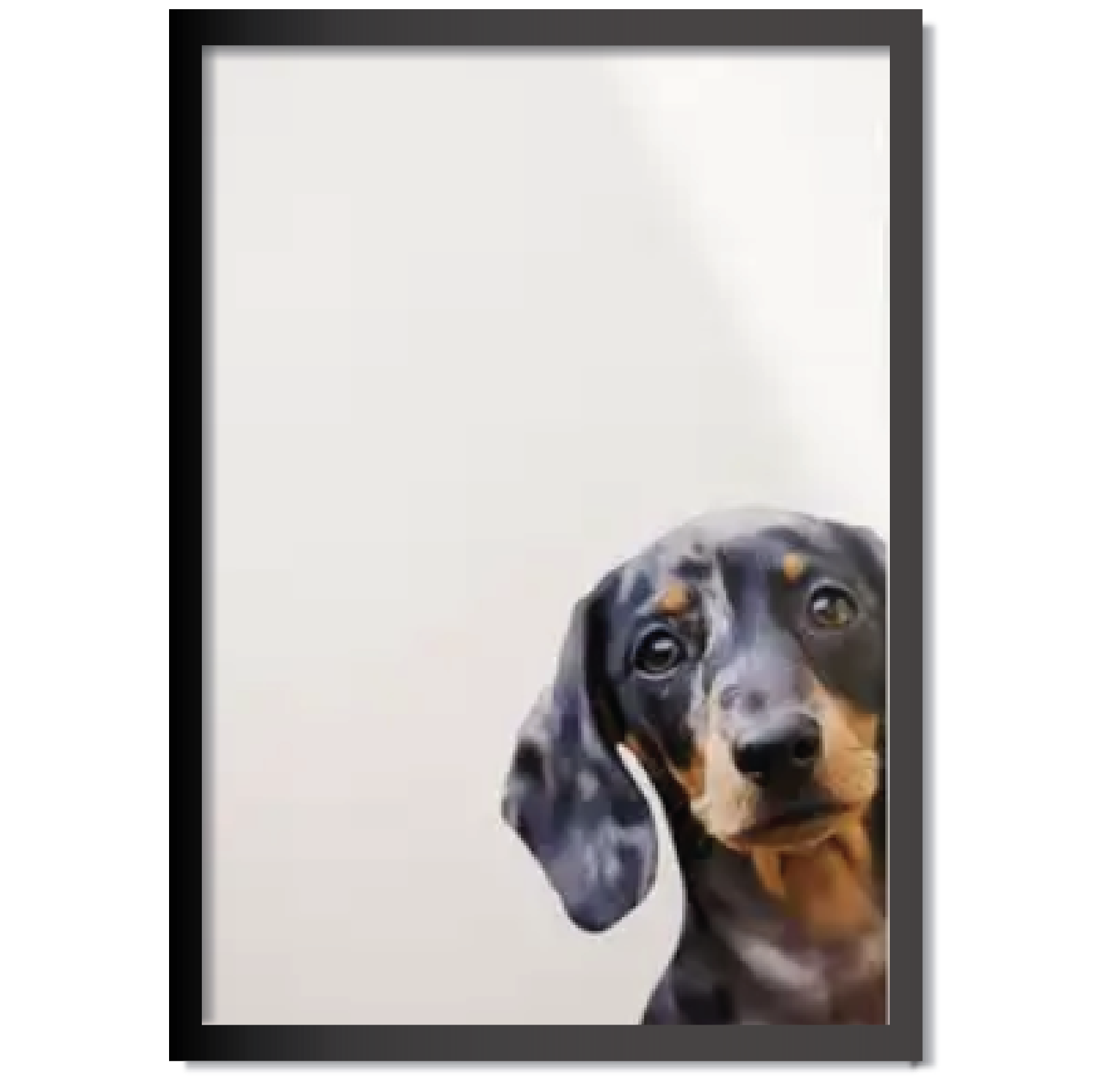 DDMK Partial Paws Style Pet Portrait P010