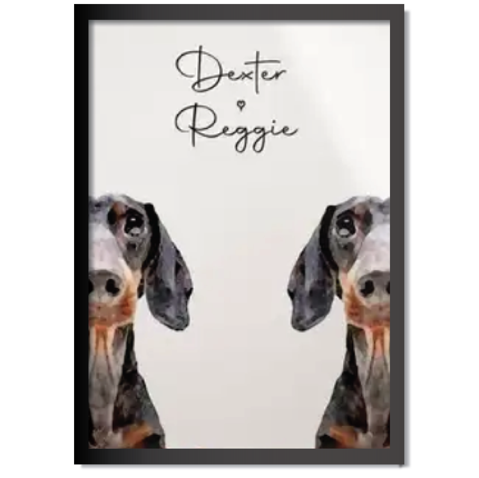 DDMK Partial Paws Style Pet Portrait P003