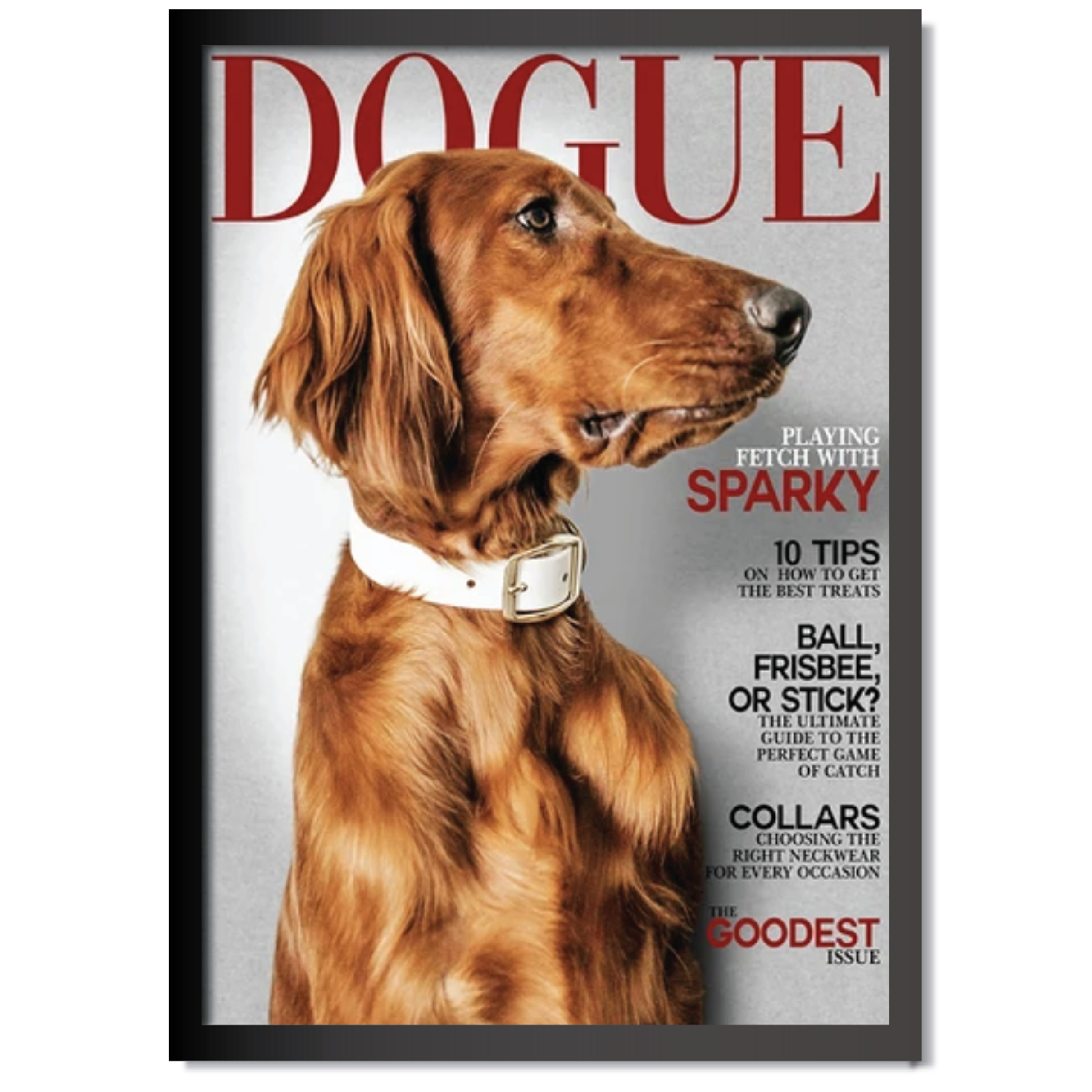 DDMK Personalized Magazine Cover Pet Portrait M004