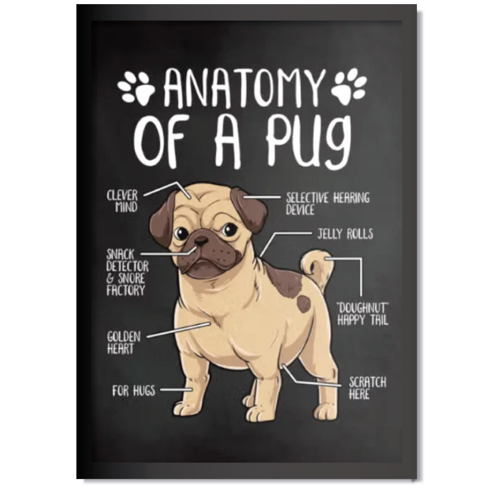 DDMK Anatomy Style Pet Portrait A017