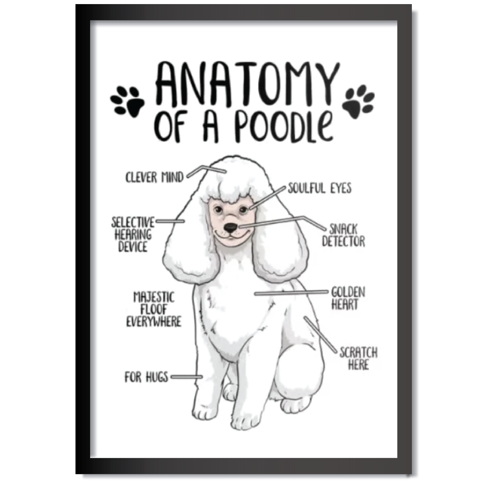 DDMK Anatomy Style Pet Portrait A022