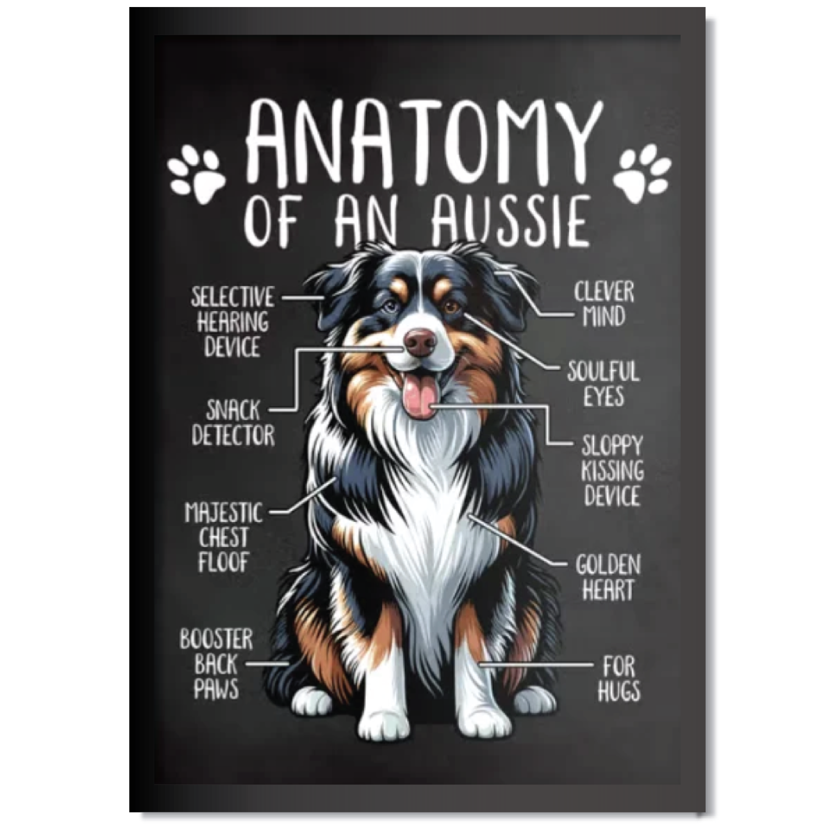 DDMK Anatomy Style Pet Portrait A002