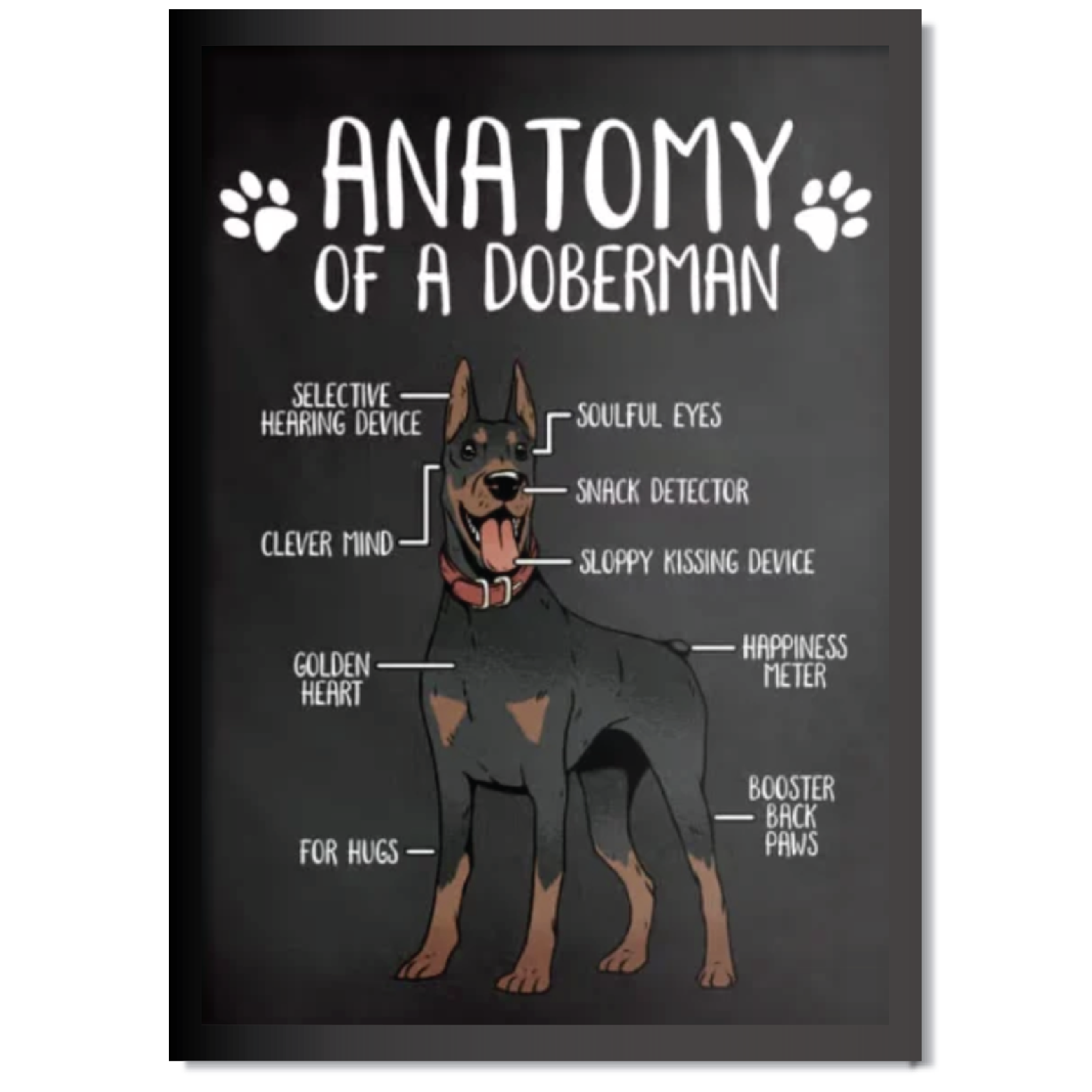 DDMK Anatomy Style Pet Portrait A026