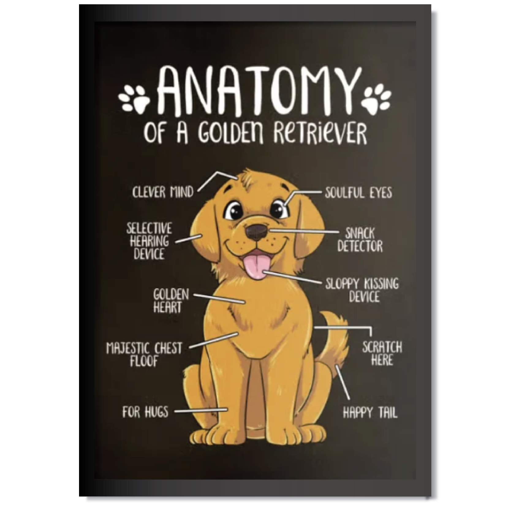 DDMK Anatomy Style Pet Portrait A016