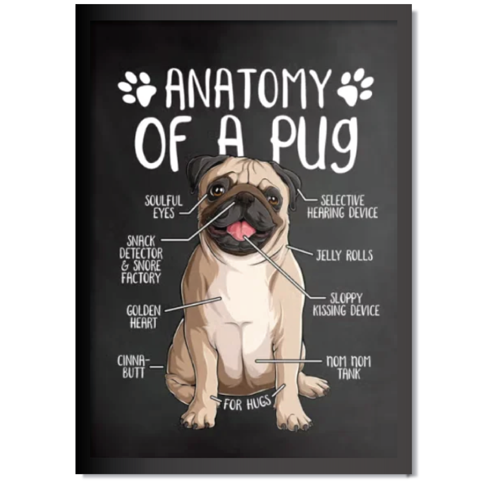 DDMK Anatomy Style Pet Portrait A025