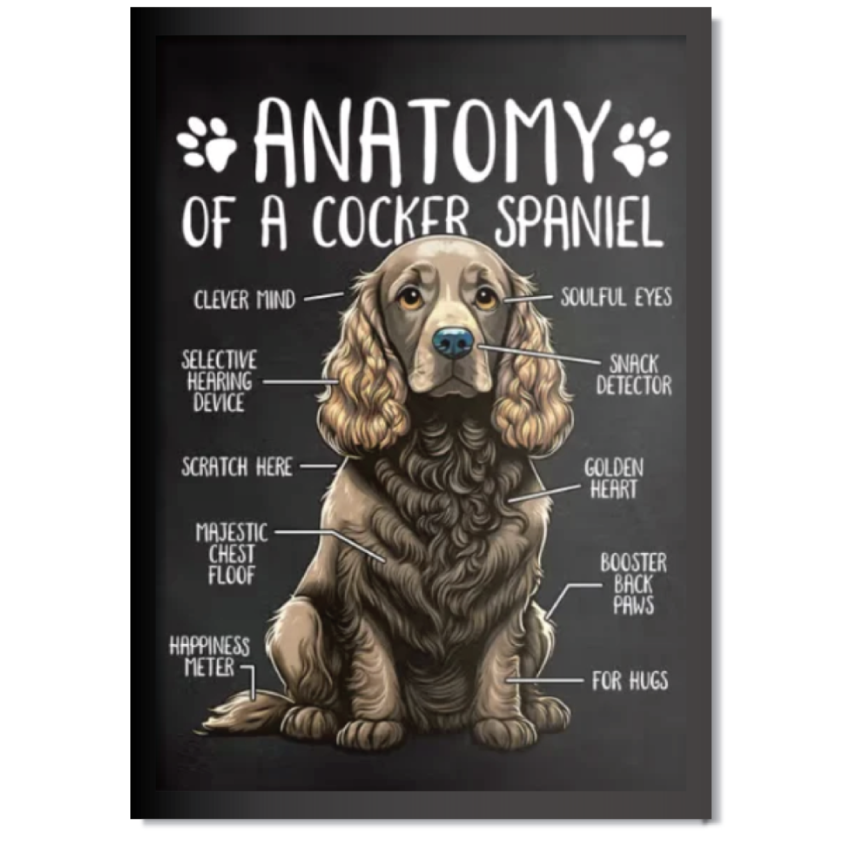 DDMK Anatomy Style Pet Portrait A001