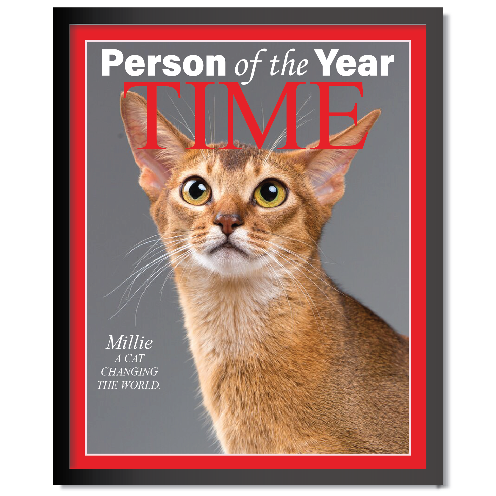 Personalized Magazine Cover Pet Portrait