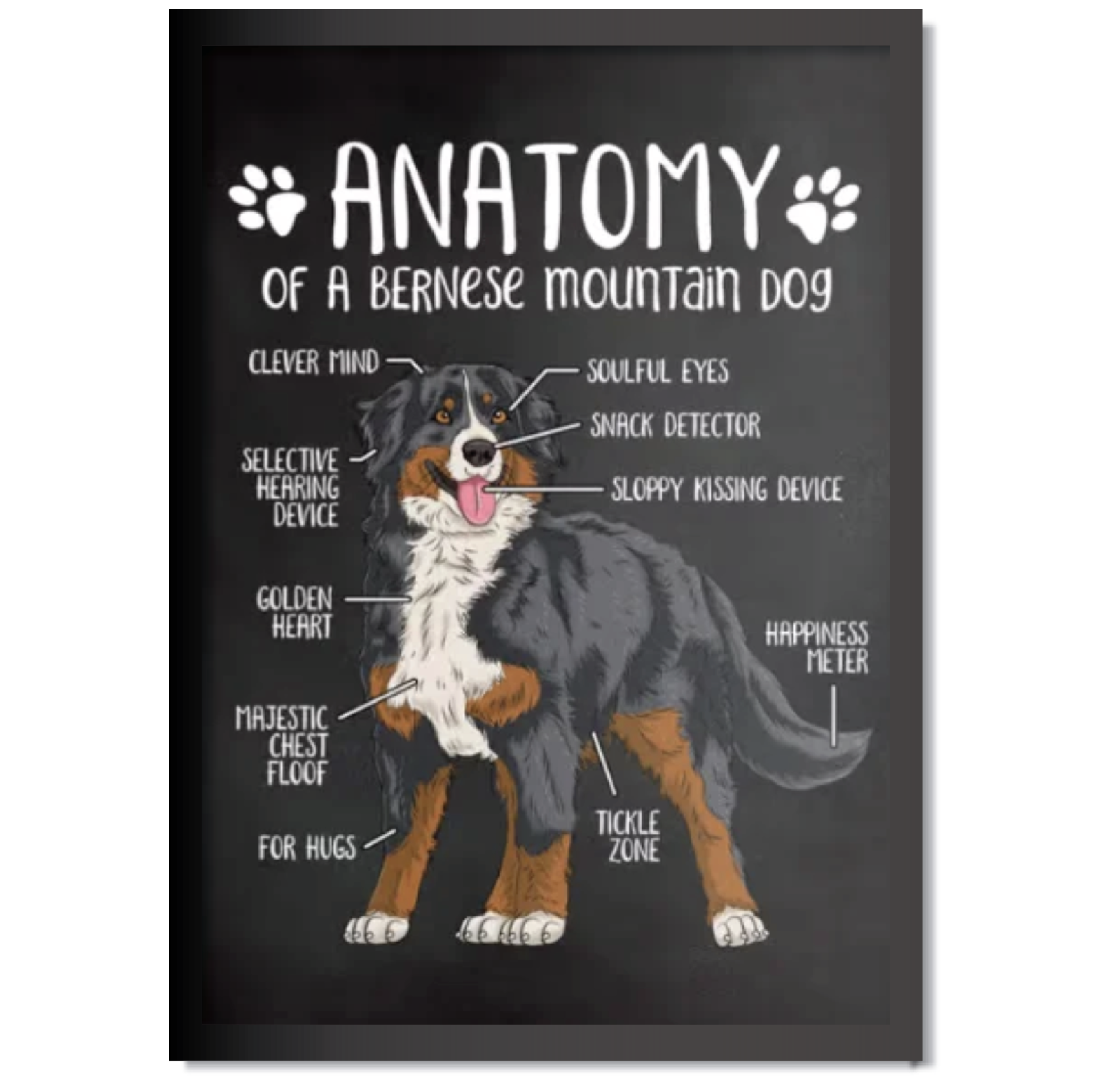 DDMK Anatomy Style Pet Portrait A015