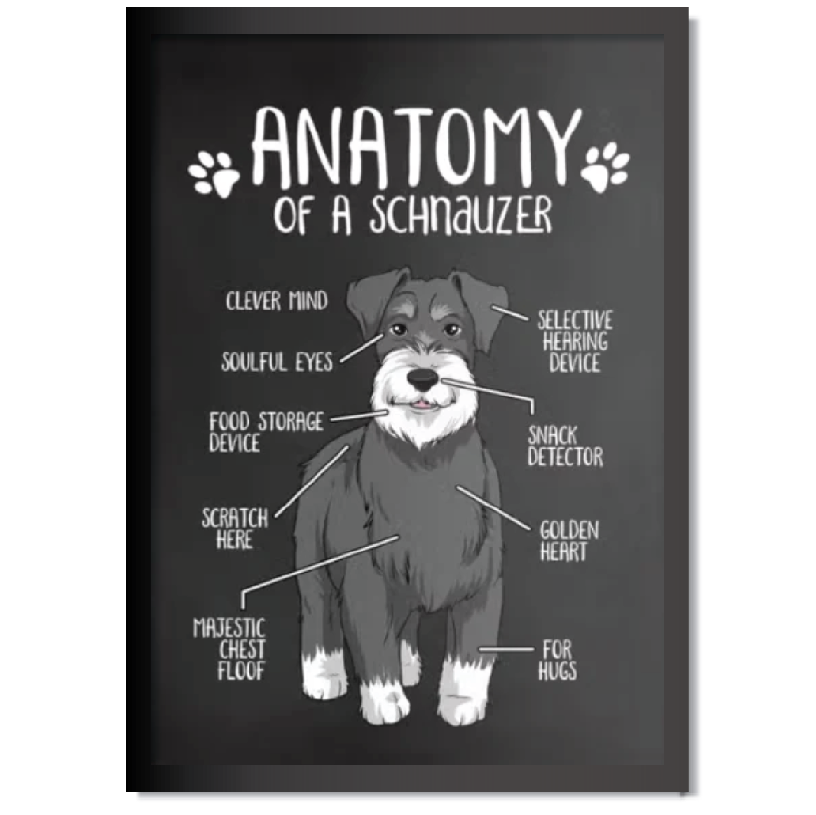 DDMK Anatomy Style Pet Portrait A012