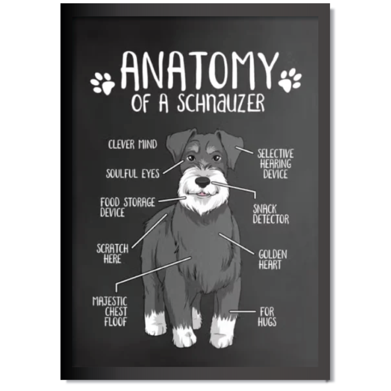 DDMK Anatomy Style Pet Portrait A025