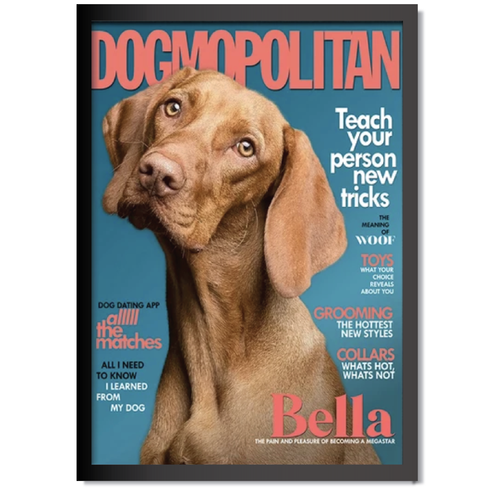 DDMK Personalized Magazine Cover Pet Portrait M011