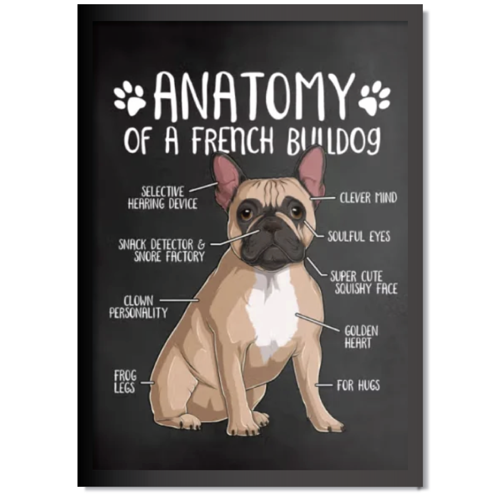 DDMK Anatomy Style Pet Portrait A020