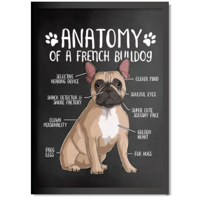 DDMK Anatomy Style Pet Portrait A021