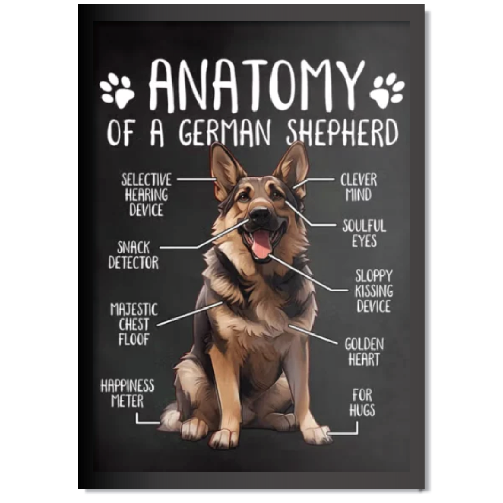 DDMK Anatomy Style Pet Portrait A011