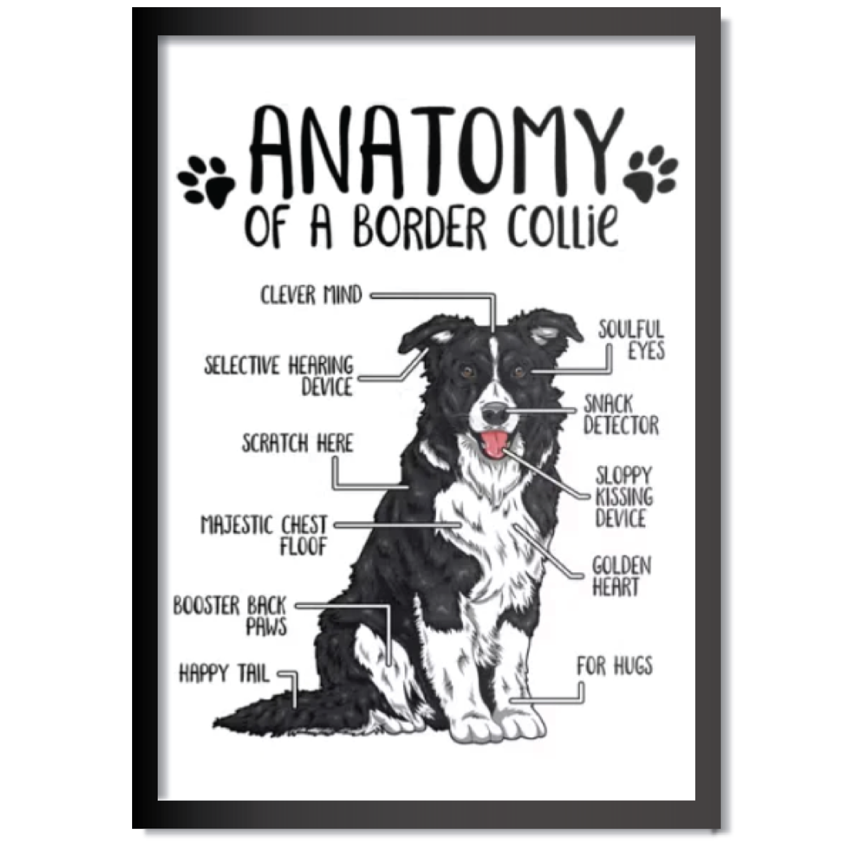 DDMK Anatomy Style Pet Portrait A012