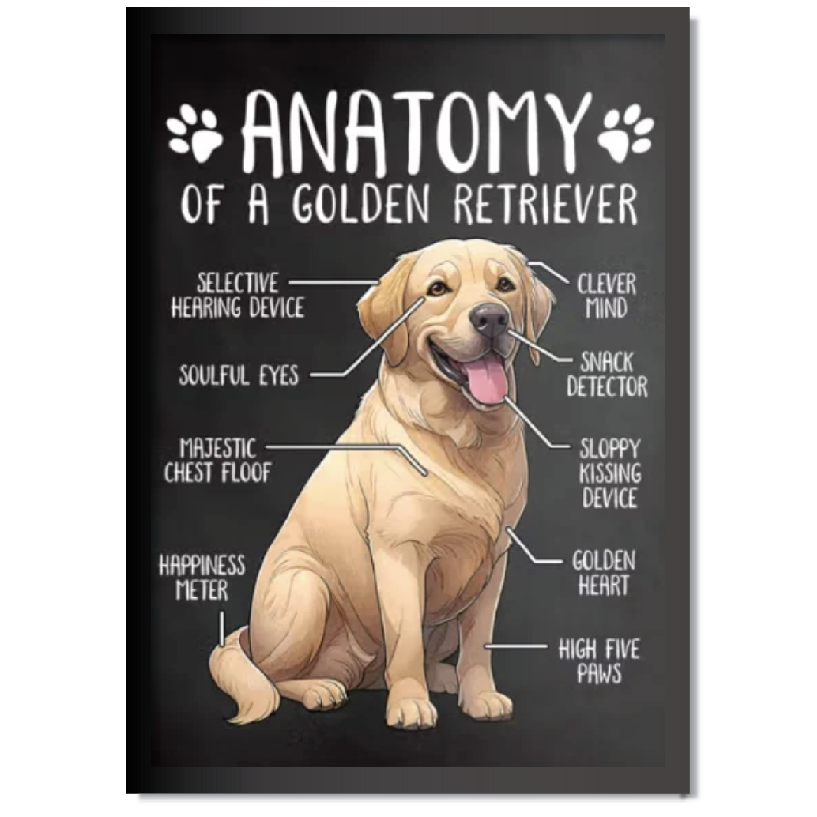 DDMK Anatomy Style Pet Portrait A008