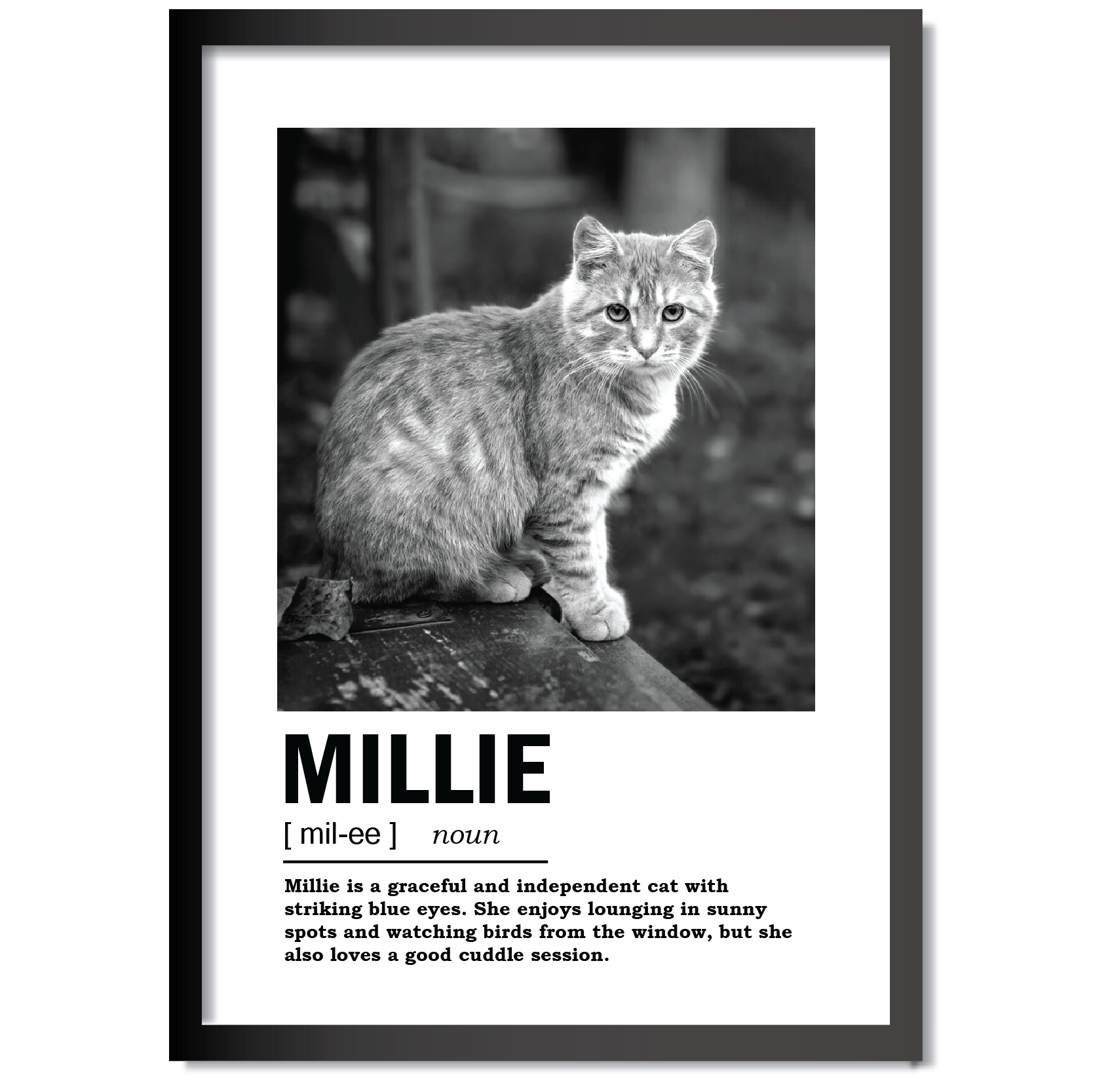 DDMK Minimalist Style Pet Portrait MN001