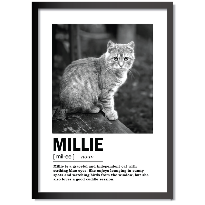 DDMK Minimalist Style Pet Portrait MN001