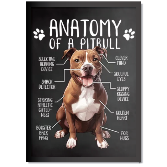 DDMK Anatomy Style Pet Portrait A006