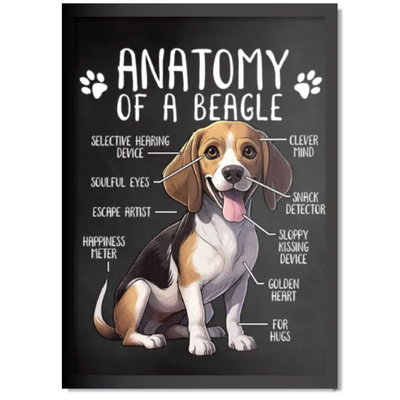 DDMK Anatomy Style Pet Portrait A003