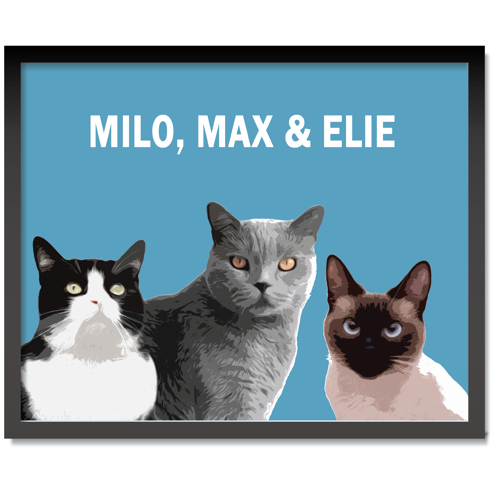 DDMK Unique Custom Pet Portraits Personalized Illustrations U002