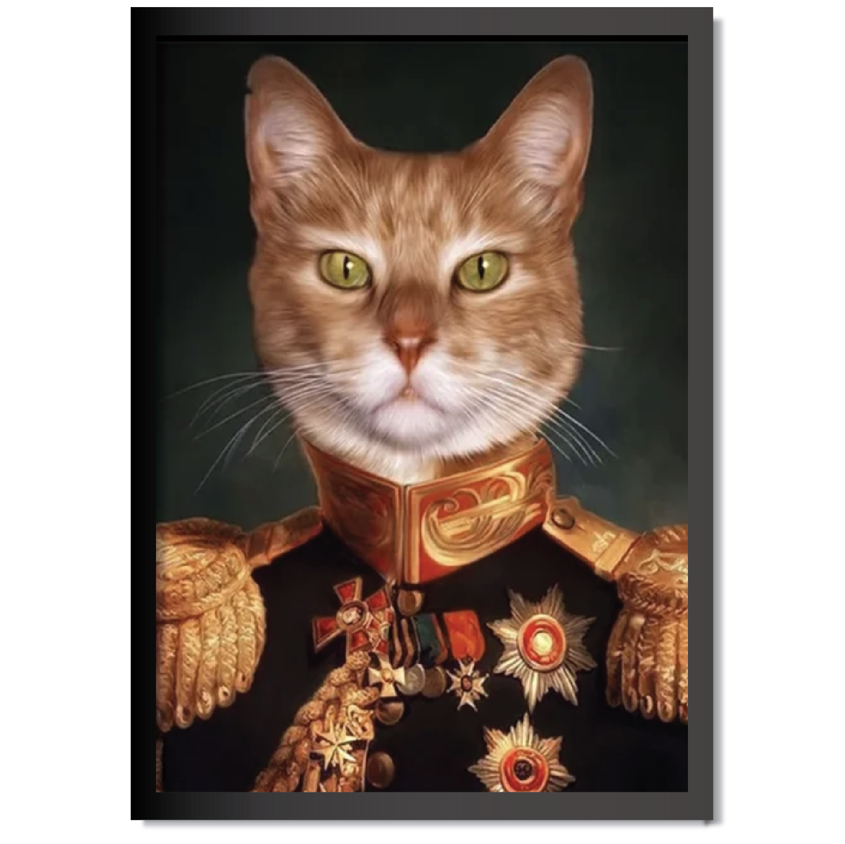 DDMK Knight Style Pet Portrait K003