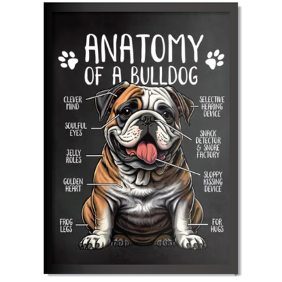 DDMK Anatomy Style Pet Portrait A002