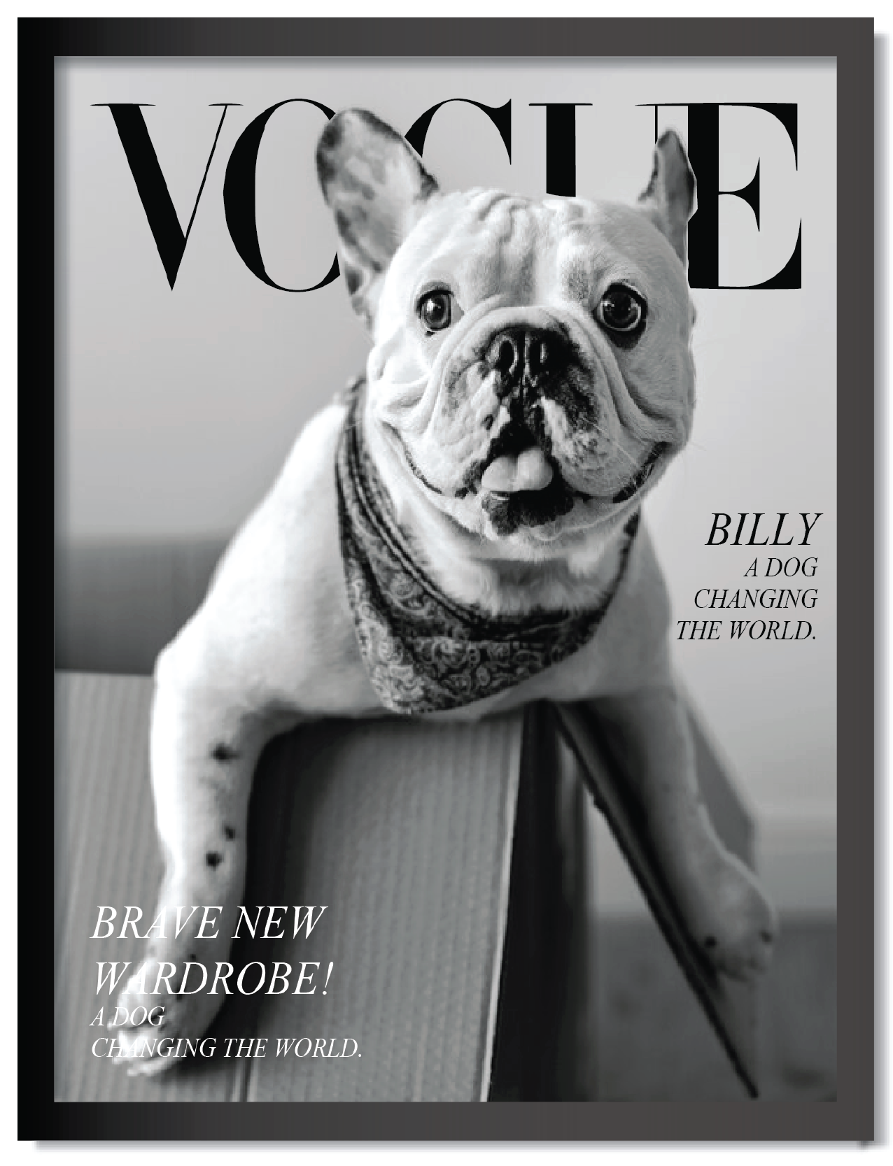 DDMK Personalized Magazine Cover Pet Portrait M007