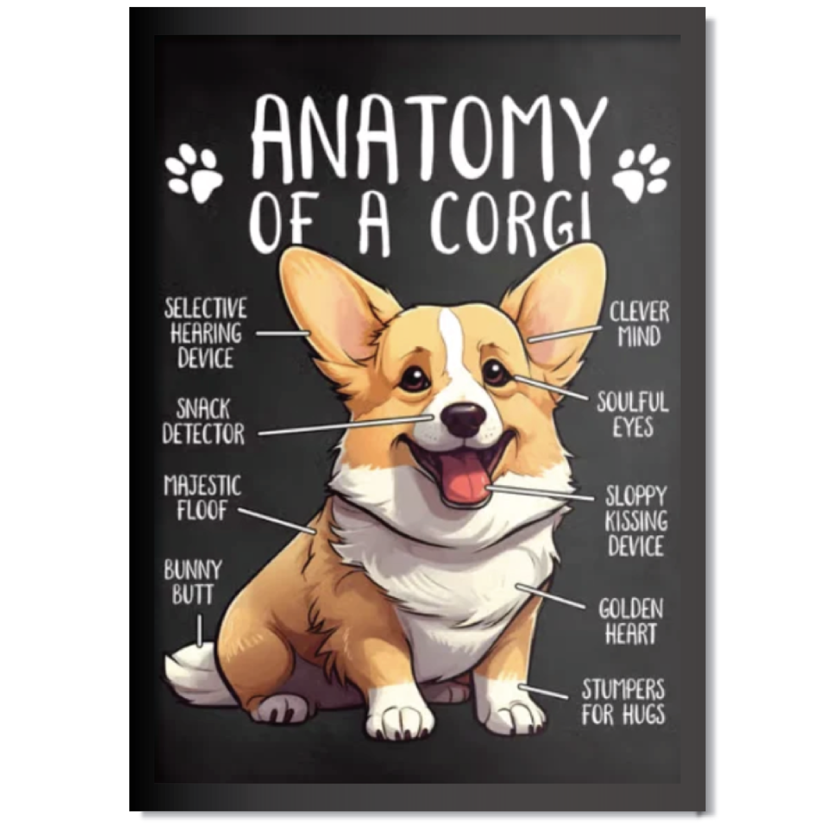 DDMK Anatomy Style Pet Portrait A002